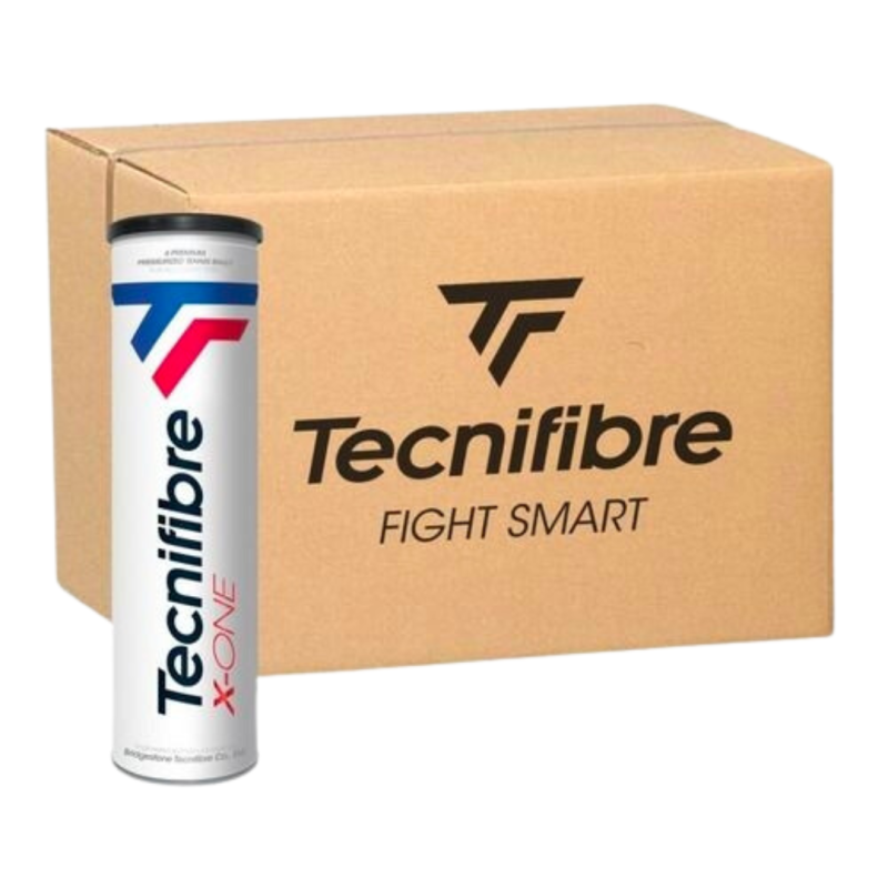 Caja Pelotas Tecnifibre X-One x4