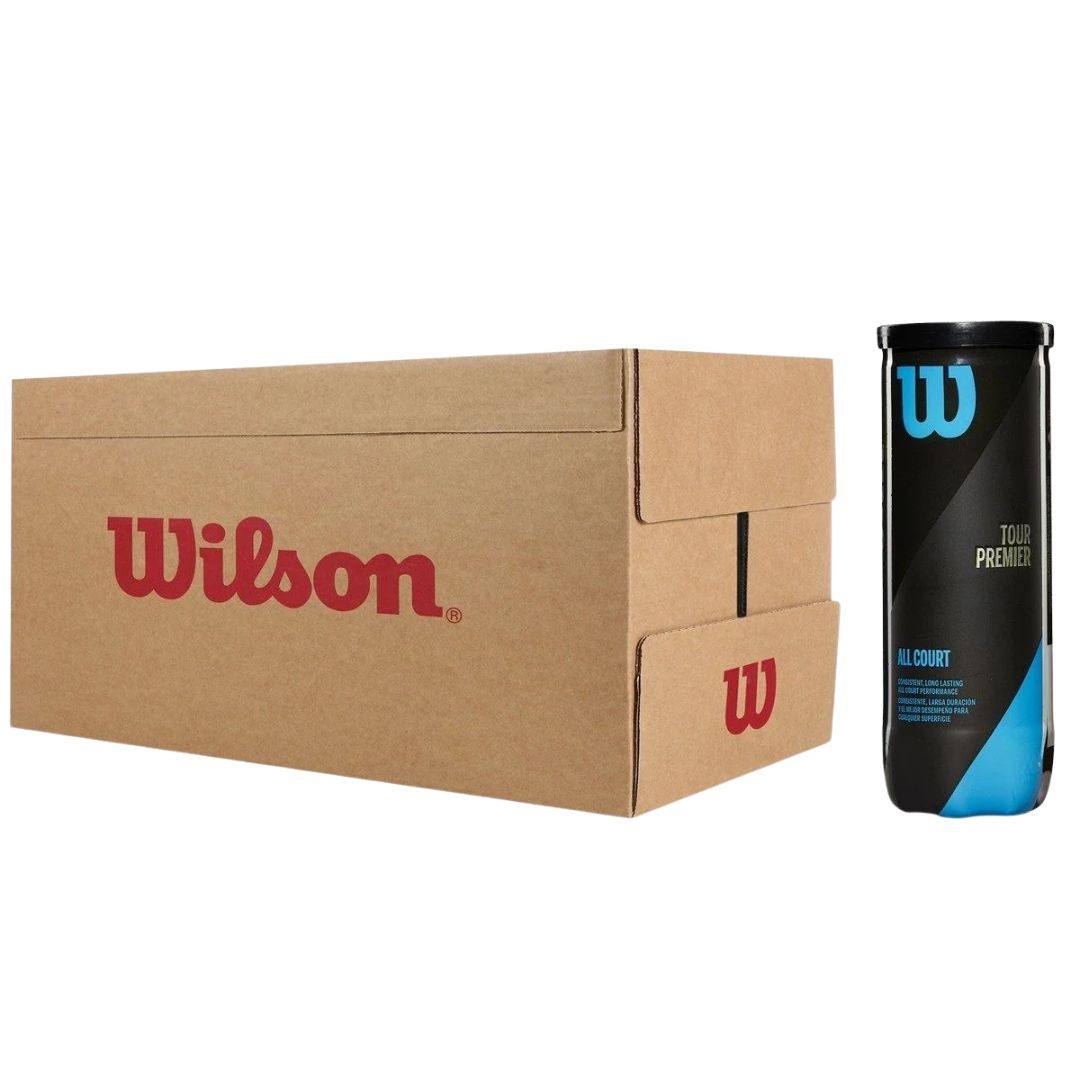 Caja Pelotas Wilson Tour Premier All Court x3