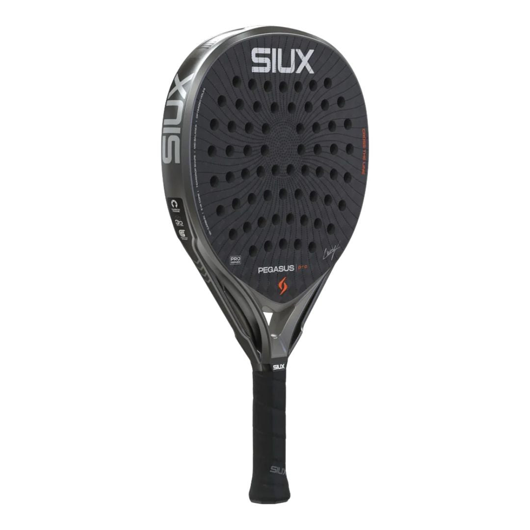 Pala Siux Pegasus Pro Storm Grey 2026